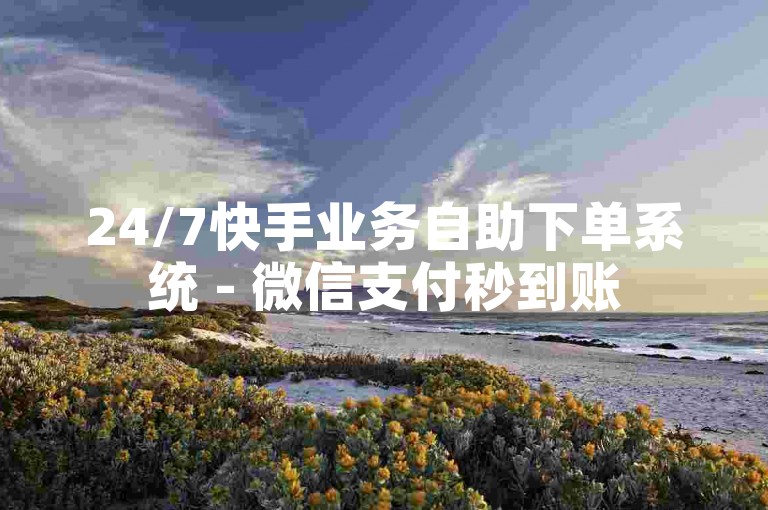 24/7快手业务自助下单系统 - 微信支付秒到账