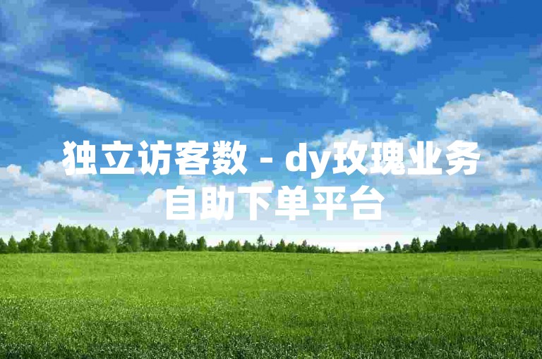 独立访客数 - dy玫瑰业务自助下单平台