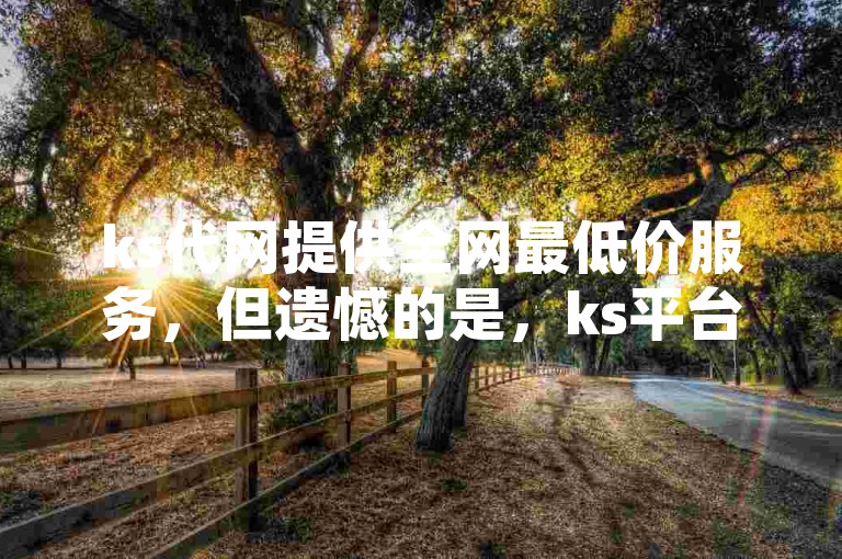 ks代网提供全网最低价服务，但遗憾的是，ks平台无法进行双击操作。