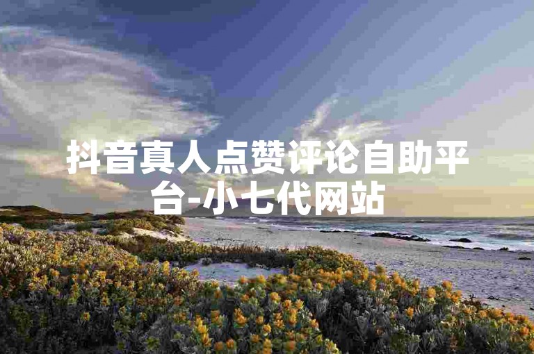 抖音真人点赞评论自助平台-小七代网站
