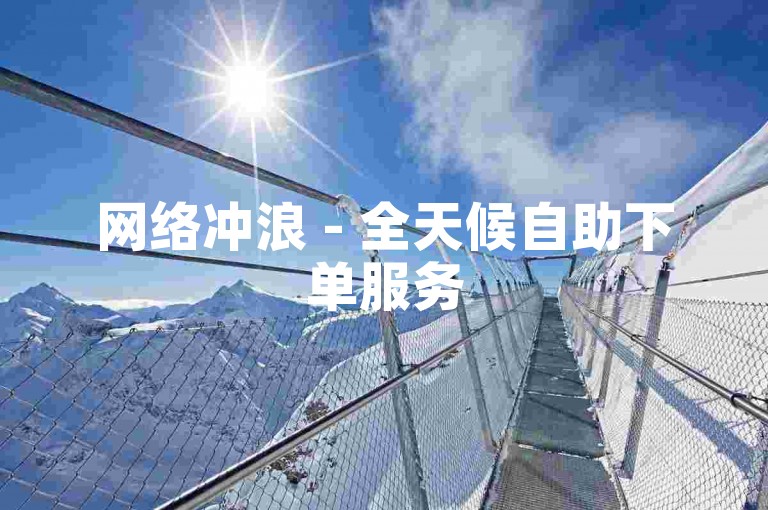 网络冲浪 - 全天候自助下单服务