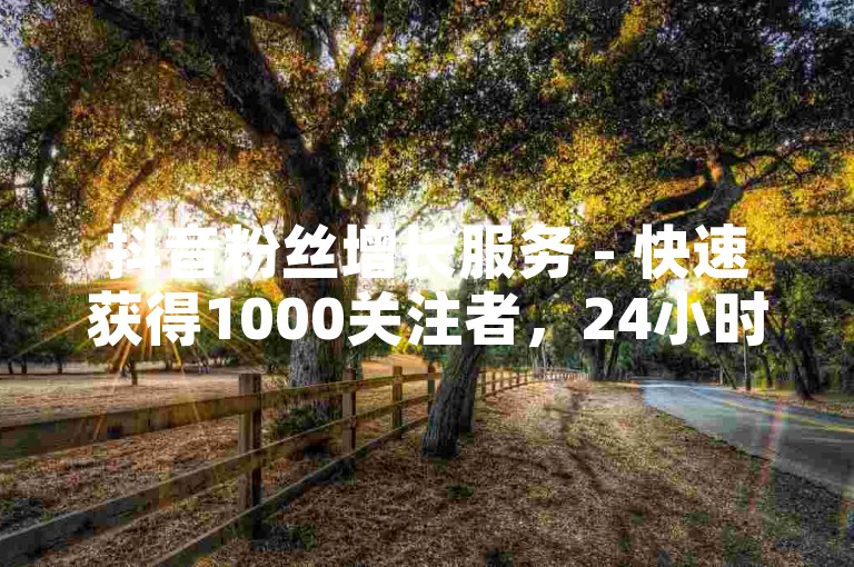 抖音粉丝增长服务 - 快速获得1000关注者，24小时自助下单平台。