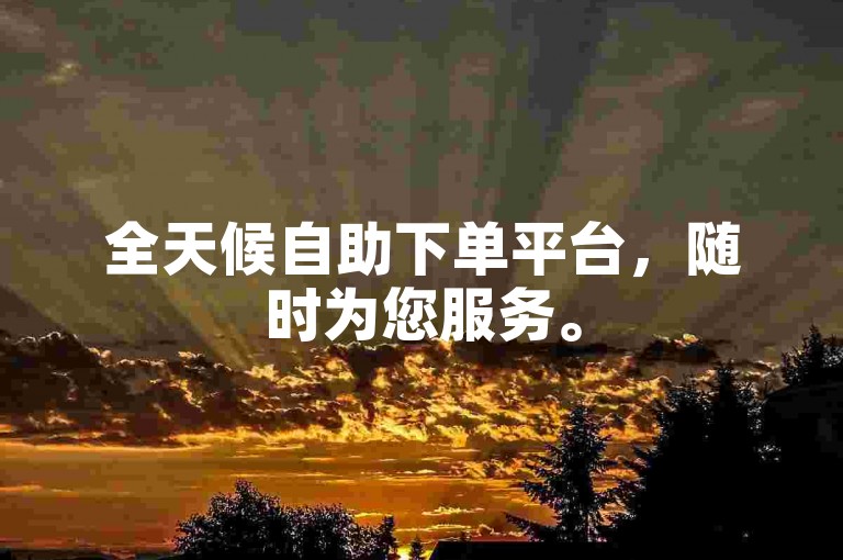 全天候自助下单平台，随时为您服务。