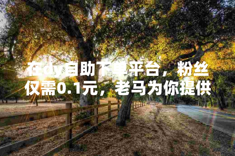 在dy自助下单平台，粉丝仅需0.1元，老马为你提供低价服务。