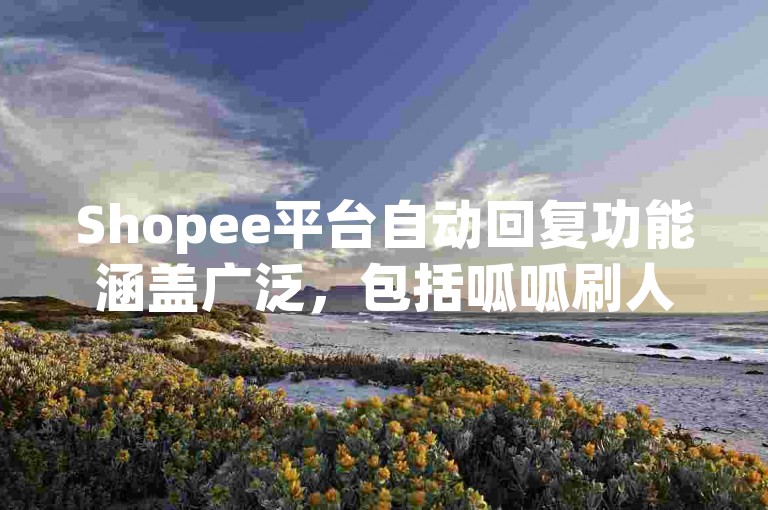 Shopee平台自动回复功能涵盖广泛，包括呱呱刷人气服务、1元购买1000粉丝优惠以及抖音视频播放量提升的定价信息。