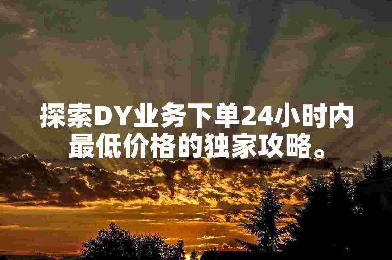探索DY业务下单24小时内最低价格的独家攻略。