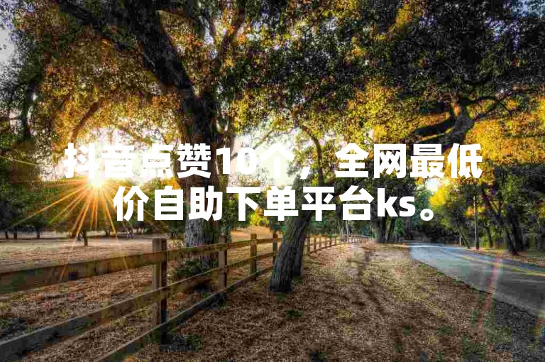 抖音点赞10个，全网最低价自助下单平台ks。
