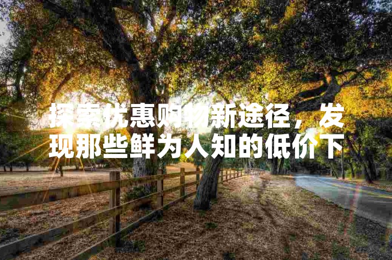 探索优惠购物新途径，发现那些鲜为人知的低价下单平台及其独家使用技巧。