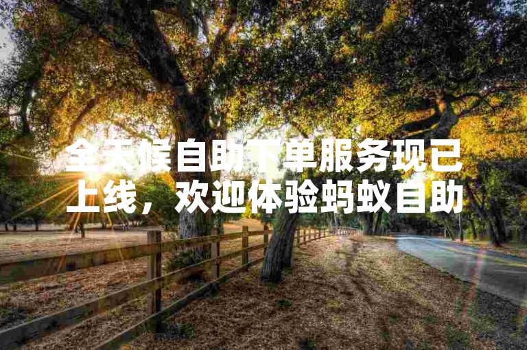 全天候自助下单服务现已上线，欢迎体验蚂蚁自助平台的便捷。