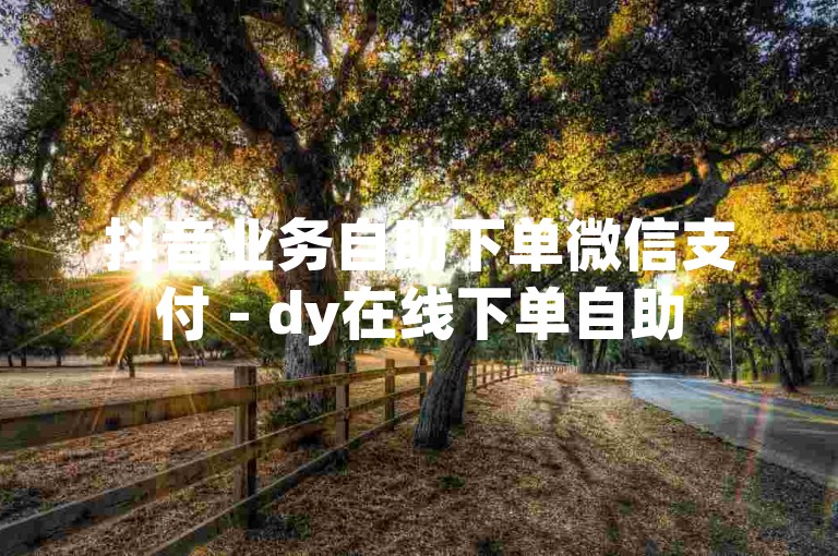 抖音业务自助下单微信支付 - dy在线下单自助