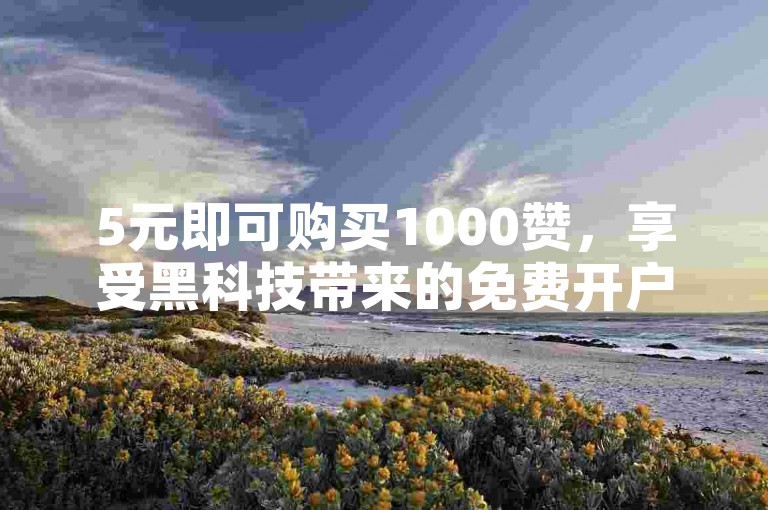 5元即可购买1000赞，享受黑科技带来的免费开户体验。
