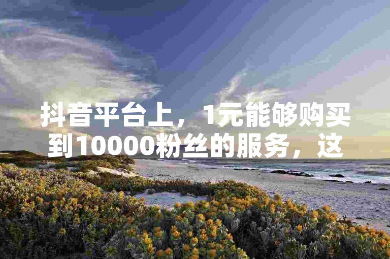 抖音平台上，1元能够购买到10000粉丝的服务，这一现象引发了关于网络影响力真实性和营销策略有效性的广泛讨论。