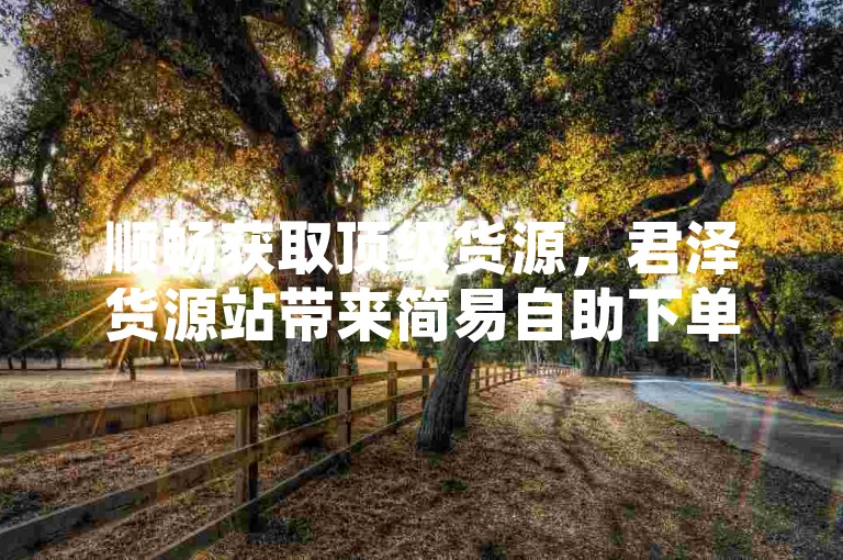 顺畅获取顶级货源，君泽货源站带来简易自助下单体验，踏上财富增长的快车道。