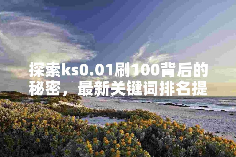 探索ks0.01刷100背后的秘密，最新关键词排名提升技巧全解析，2024年必备知识！