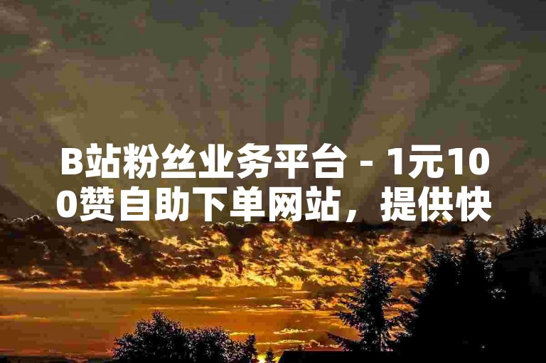 B站粉丝业务平台 - 1元100赞自助下单网站，提供快速、便捷的服务，让你的B站视频获得更多的关注和点赞。