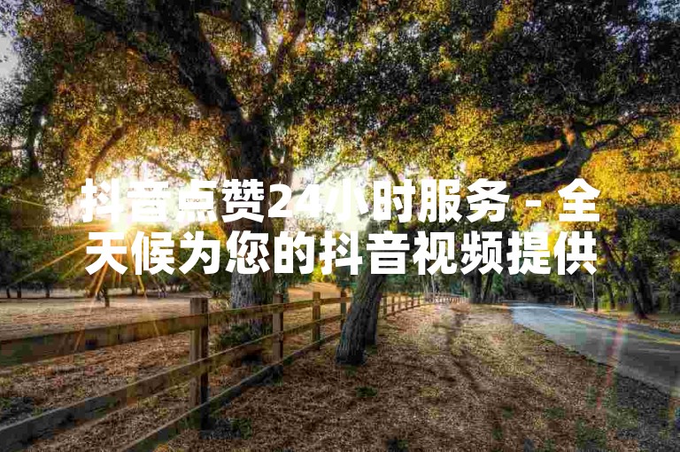 抖音点赞24小时服务 - 全天候为您的抖音视频提供高效点赞支持！