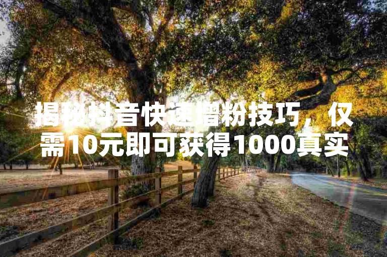揭秘抖音快速增粉技巧，仅需10元即可获得1000真实粉丝，快手充值入口，ks业务自助下单平台。