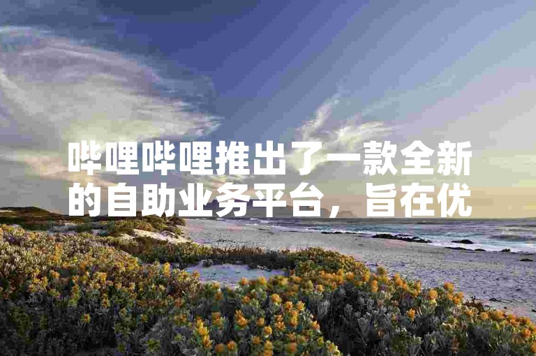 哔哩哔哩推出了一款全新的自助业务平台，旨在优化用户的使用体验。