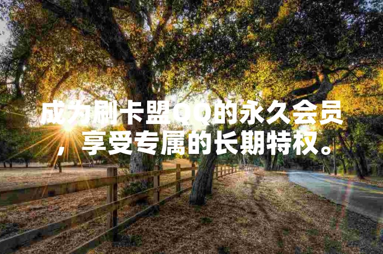 成为刷卡盟QQ的永久会员，享受专属的长期特权。