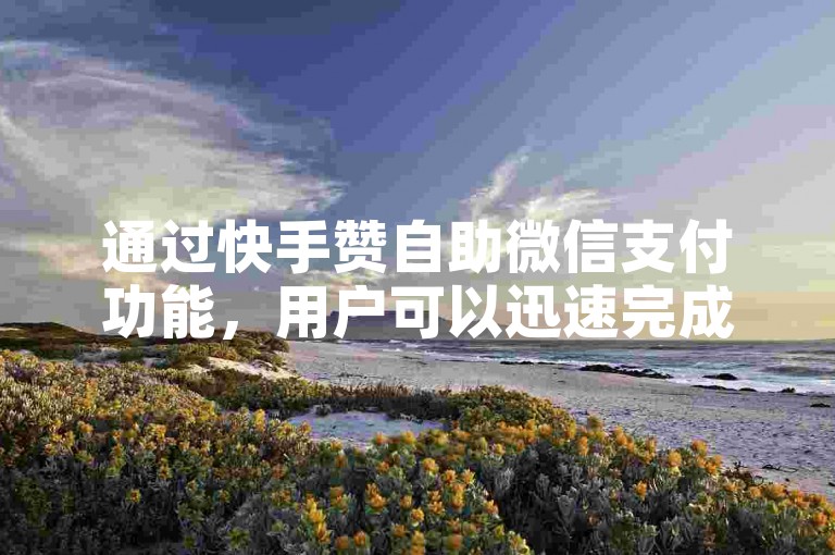 通过快手赞自助微信支付功能，用户可以迅速完成赞助交易，享受无缝的支付体验。