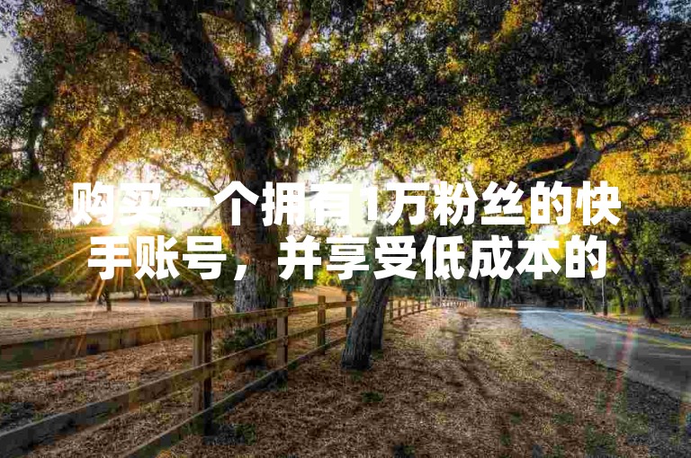购买一个拥有1万粉丝的快手账号，并享受低成本的点赞服务。
