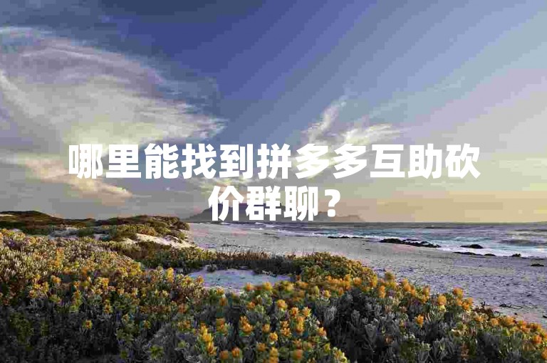 哪里能找到拼多多互助砍价群聊？