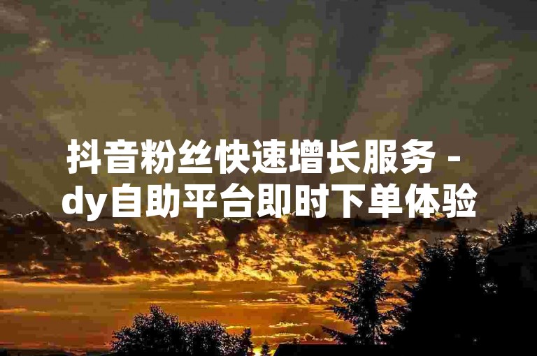 抖音粉丝快速增长服务 - dy自助平台即时下单体验。