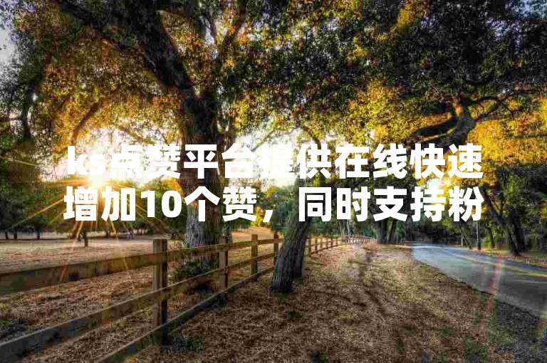 ks点赞平台提供在线快速增加10个赞，同时支持粉丝自主下单服务。