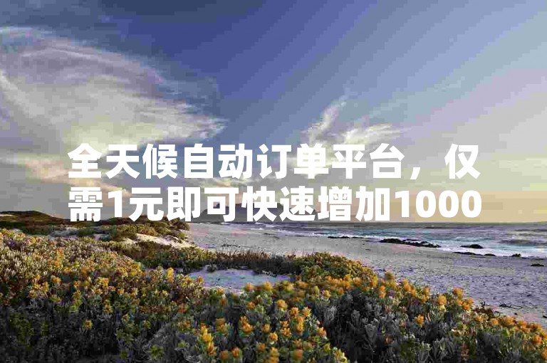 全天候自动订单平台，仅需1元即可快速增加1000名粉丝。