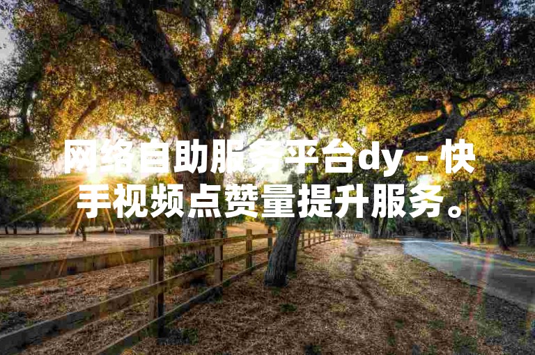 网络自助服务平台dy - 快手视频点赞量提升服务。