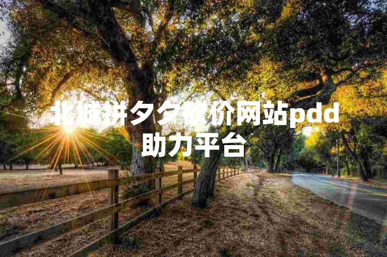 北城拼夕夕砍价网站pdd助力平台