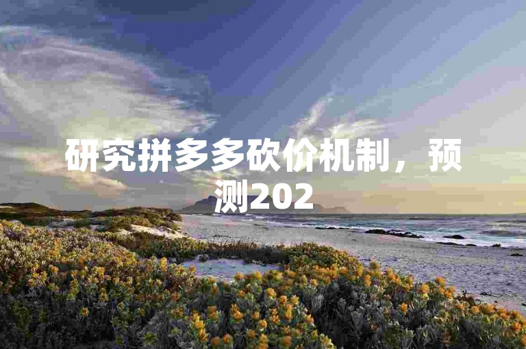 研究拼多多砍价机制，预测2025年参与砍价的人数趋势。