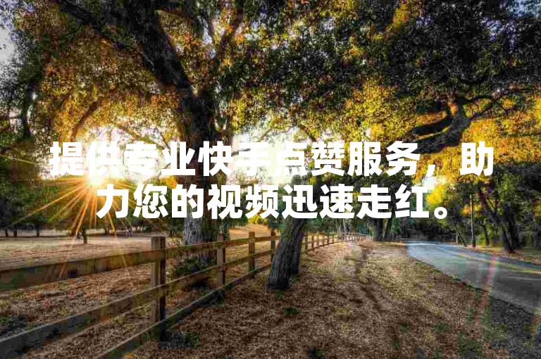 提供专业快手点赞服务，助力您的视频迅速走红。
