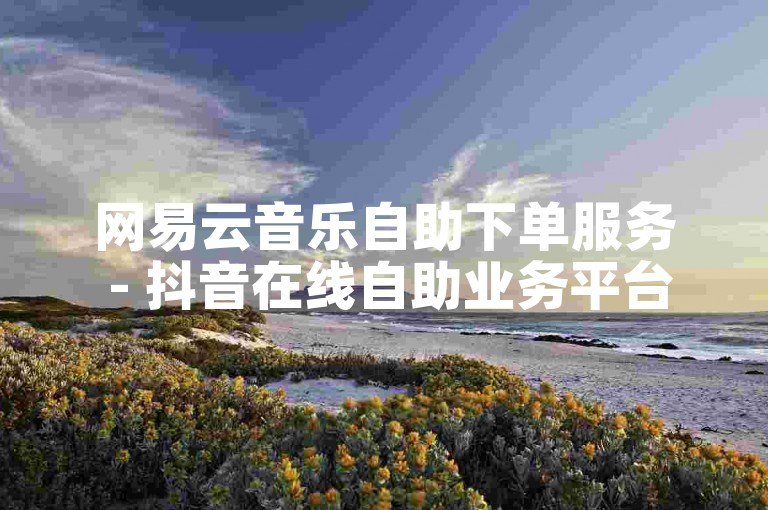 网易云音乐自助下单服务 - 抖音在线自助业务平台。