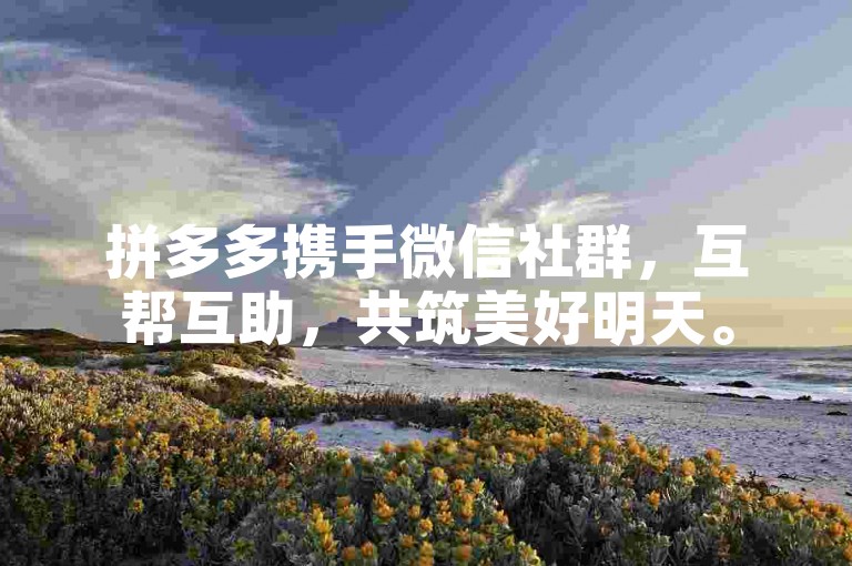 拼多多携手微信社群，互帮互助，共筑美好明天。