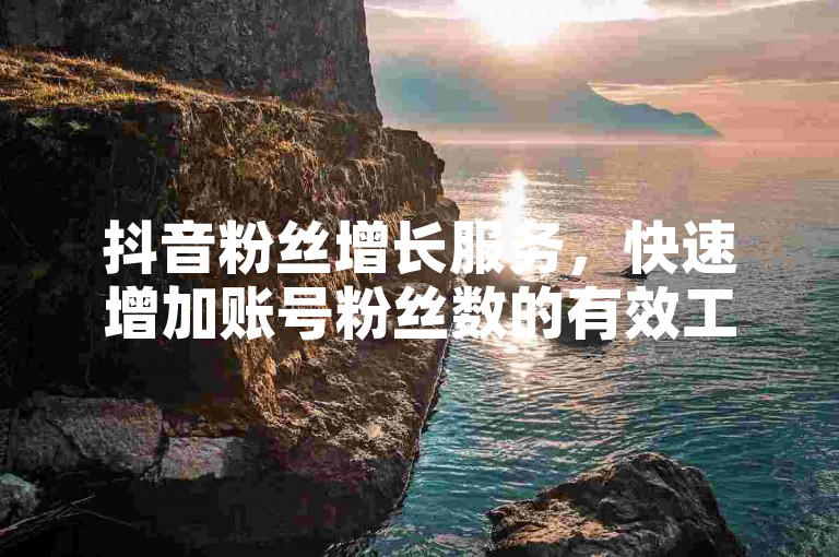 抖音粉丝增长服务，快速增加账号粉丝数的有效工具。