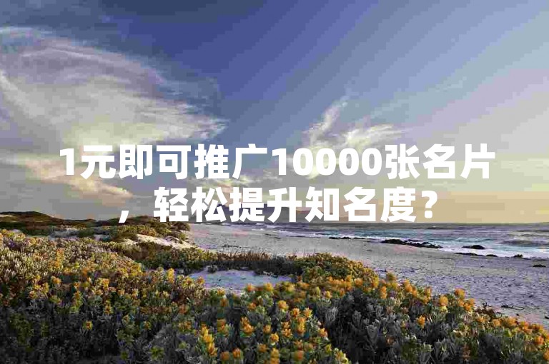 1元即可推广10000张名片，轻松提升知名度？