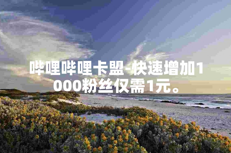 哔哩哔哩卡盟-快速增加1000粉丝仅需1元。