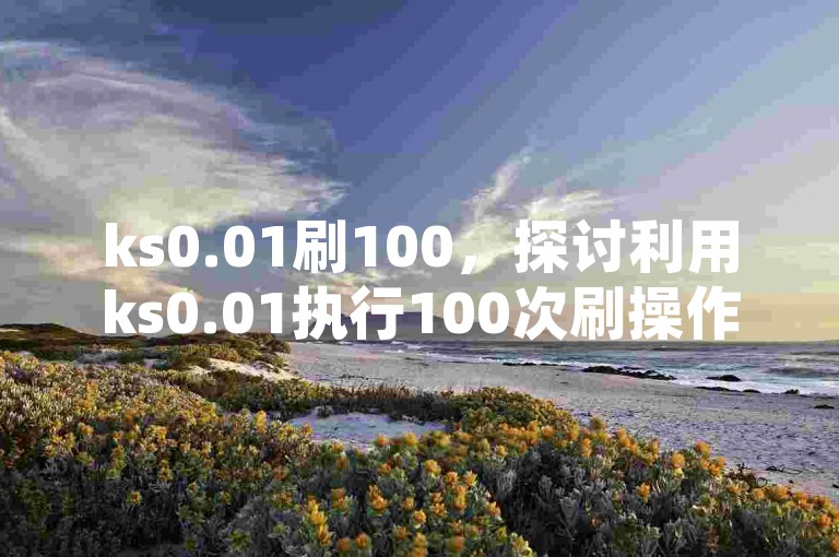 ks0.01刷100，探讨利用ks0.01执行100次刷操作时的高效策略？
