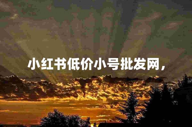 小红书低价小号批发网，520万宝自助下单平台，为您提供便捷的服务。