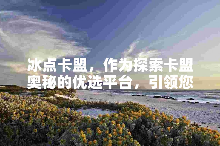 冰点卡盟，作为探索卡盟奥秘的优选平台，引领您步入专业知识的殿堂。