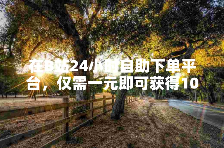 在B站24小时自助下单平台，仅需一元即可获得100个赞。