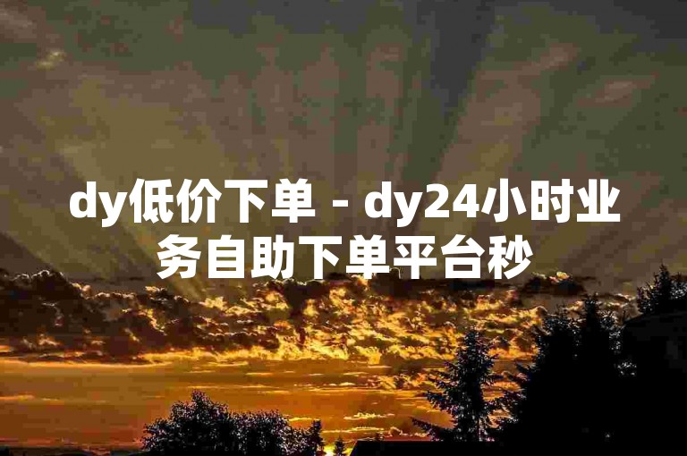 dy低价下单 - dy24小时业务自助下单平台秒