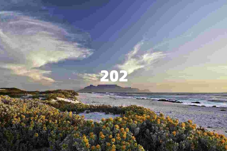 2025年拼多多助力活动中，还差一枚金币时通常需要数十人甚至上百人的帮忙，借助像{pdd帮助力平台}这样的互助平台能提高成功几率。
