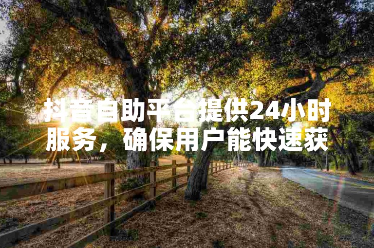抖音自助平台提供24小时服务，确保用户能快速获得1000个赞的支持。