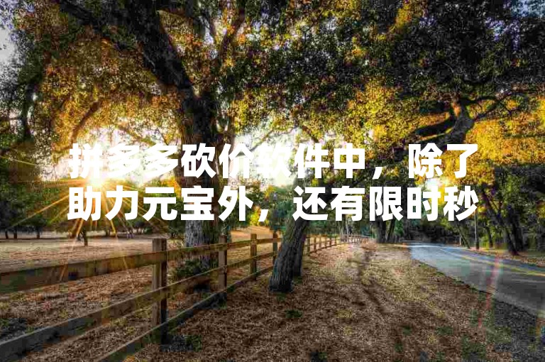 拼多多砍价软件中，除了助力元宝外，还有限时秒杀和团购优惠。