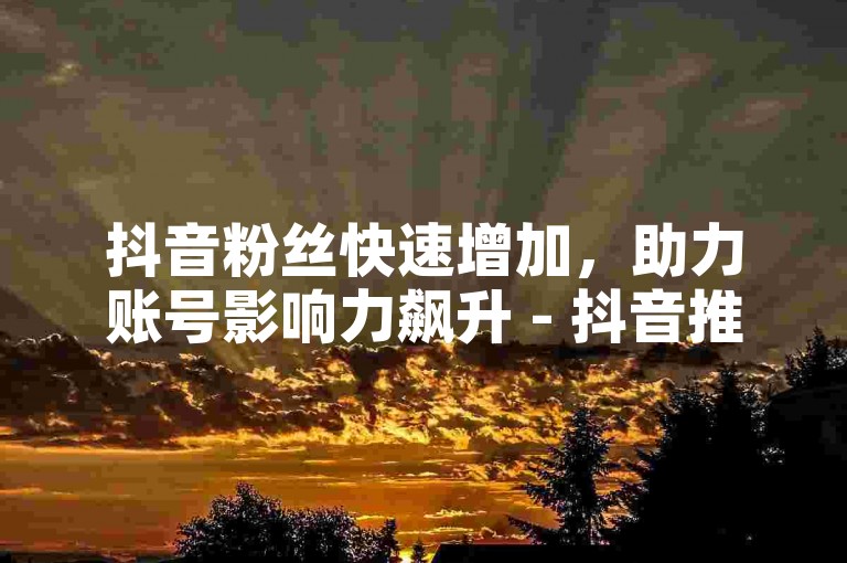 抖音粉丝快速增加，助力账号影响力飙升 - 抖音推广专业服务网站。