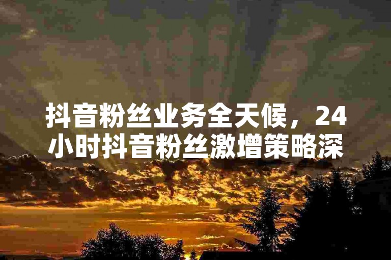 抖音粉丝业务全天候，24小时抖音粉丝激增策略深度剖析？