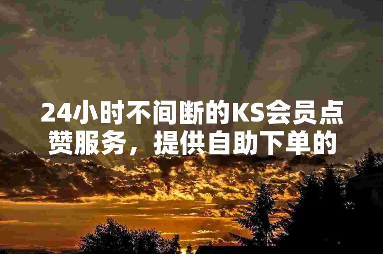24小时不间断的KS会员点赞服务，提供自助下单的便捷平台。