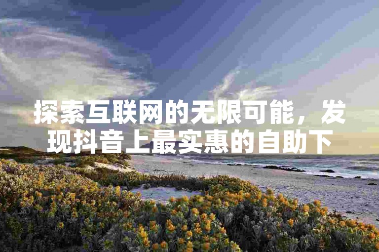 探索互联网的无限可能，发现抖音上最实惠的自助下单服务，尽在小超代涨快手。